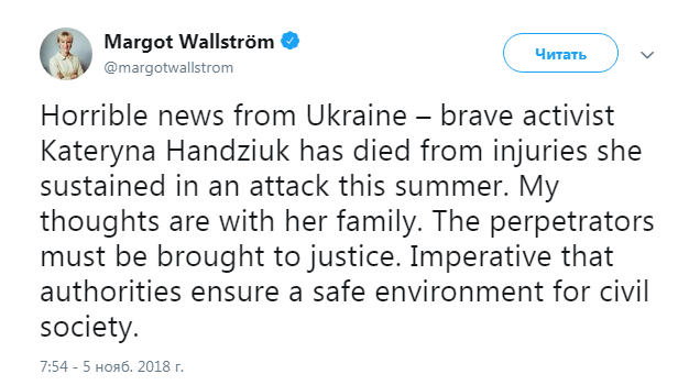 Британия и Швеция ждут обеспечения правосудия по делу Гандзюк