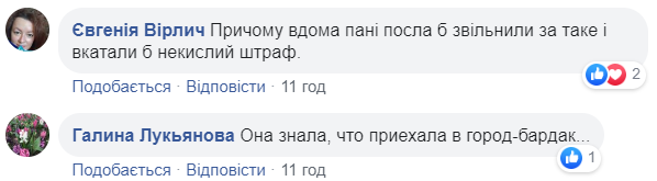 Трохи порушувала: у Херсоні помітили авто посла Німеччини, припарковане на &quot;зебрі&quot; (фото)
