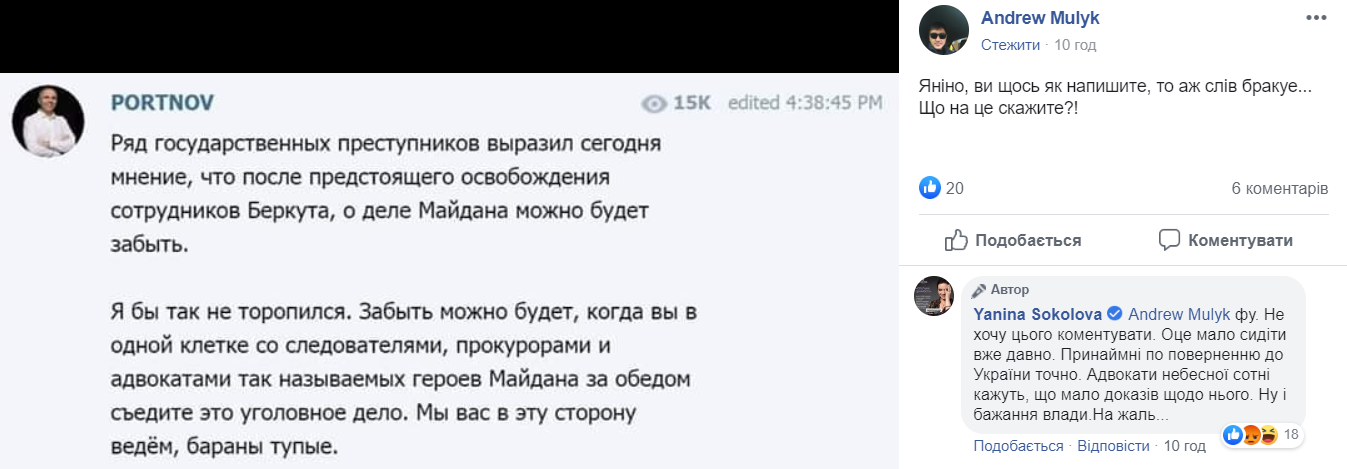 Освобождение "беркутовцев": Янина Соколова сделала эмоциональное заявление