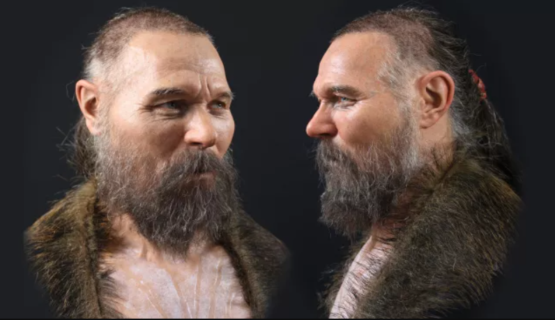 Модник-бородань з хвостиком: стало відомо, як виглядав чоловік 8 тисяч років тому (відео)