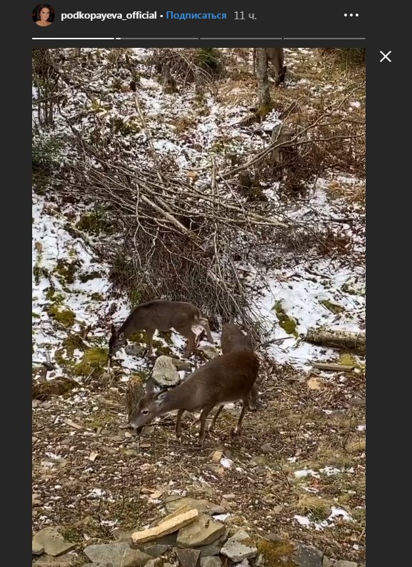 Красотка лыжница: Лилия Подкопаева сменила спортивную квалификацию (фото)