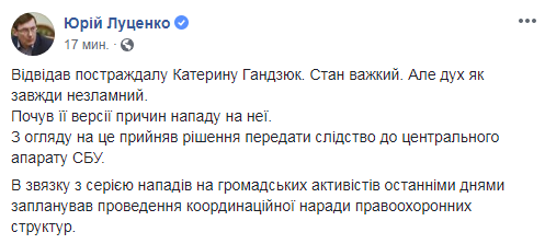 Слідство у справі нападу на Гандзюк передали в центральний апарат СБУ