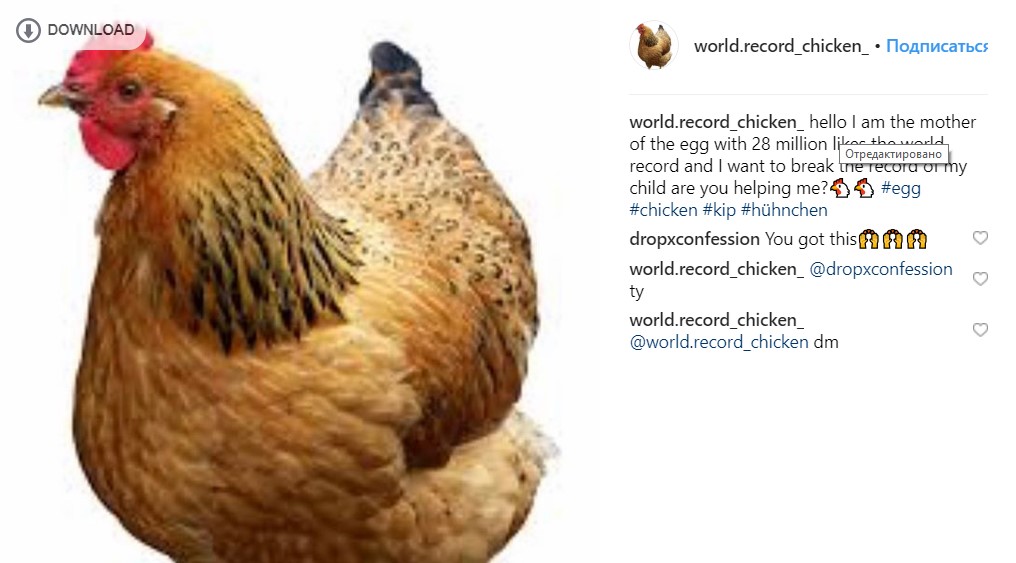 Яйцо-рекордсмен: новая звезда Instagram побила рекорд по лайкам