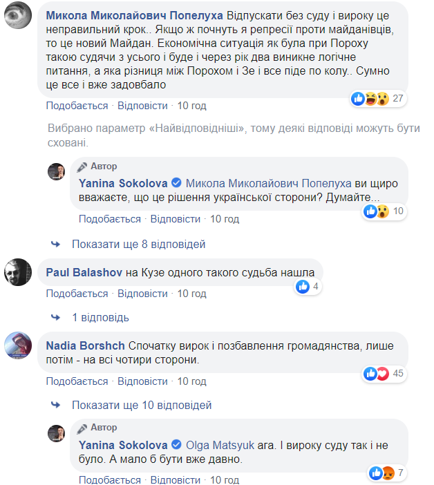 Освобождение "беркутовцев": Янина Соколова сделала эмоциональное заявление