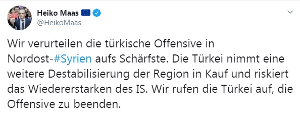Наступление Турции на Сирию угрожает возрождением ИГИЛ, - МИД Германии