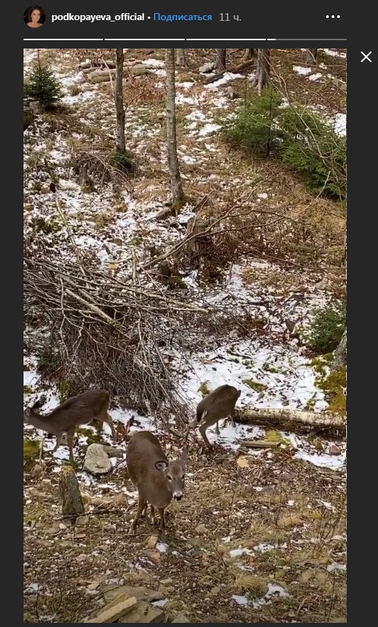 Красотка лыжница: Лилия Подкопаева сменила спортивную квалификацию (фото)
