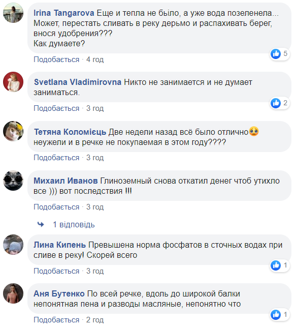 В Николаеве вода на пляже превратилась в зеленую жижу: что происходит