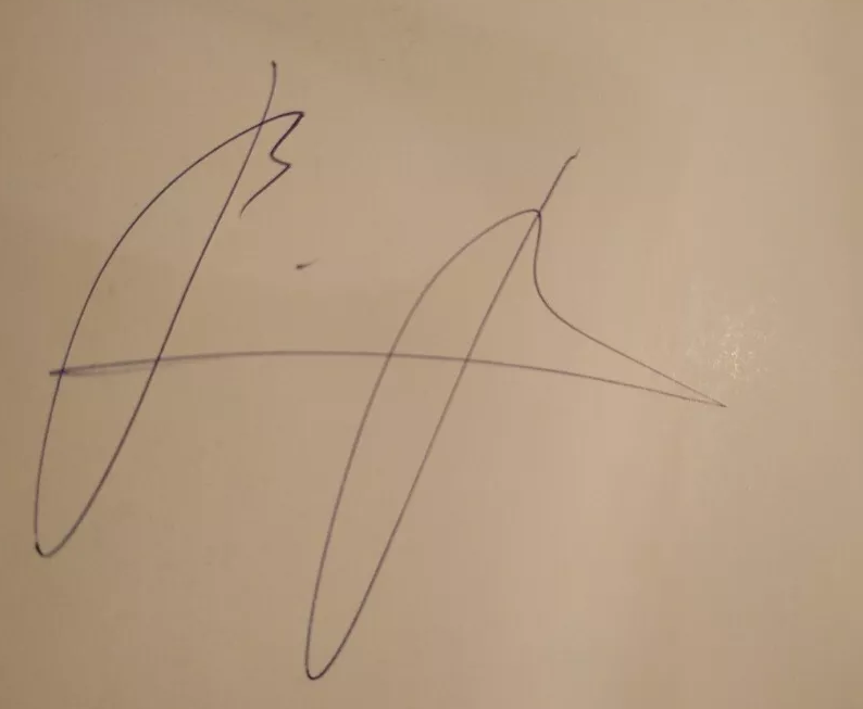 Автографы, книги, шаурма: украинцы научились зарабатывать на Зеленском