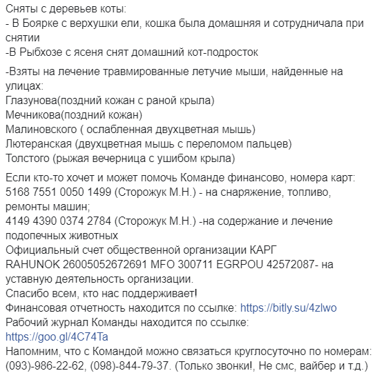 У Києві 120 кажанів &quot;окупували&quot; квартиру: фото, подробиці
