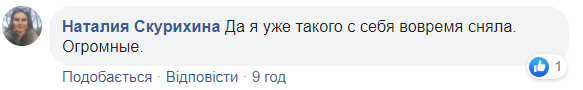 Украинцев предупредили о нашествии клещей из-за аномальной погоды