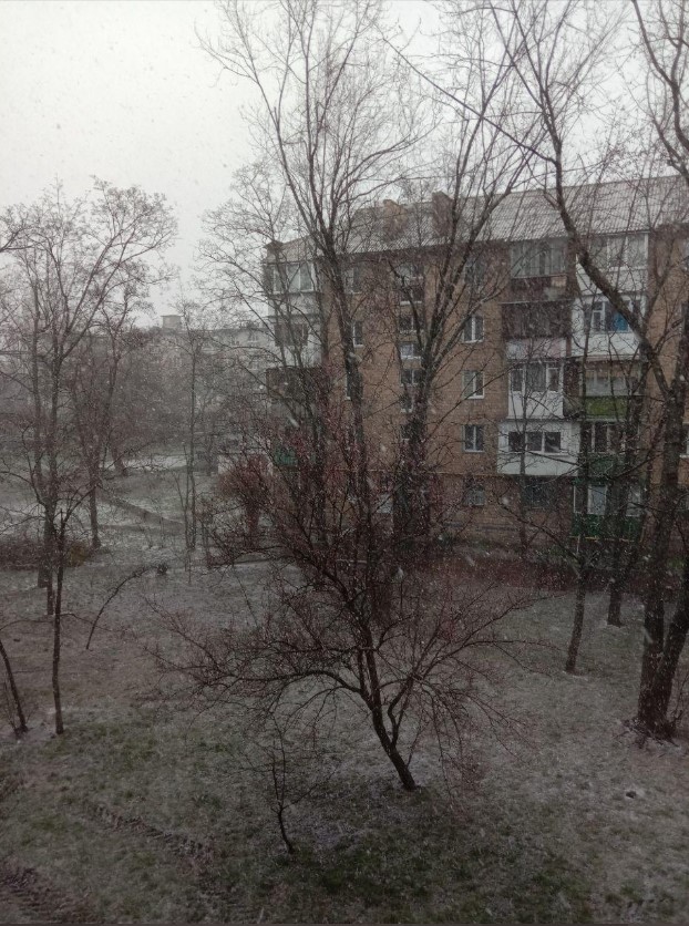 Київ засипало снігом: відео та фото аномалії