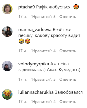 Леся Нікітюк вирішила похвалитися ідеальною фігурою, але головним героєм фото став її пес
