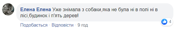 Украинцев предупредили о нашествии клещей из-за аномальной погоды