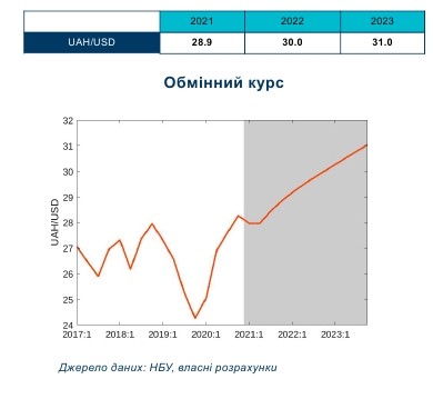 Когда курс доллара вырастет до 30 гривен: прогноз экспертов