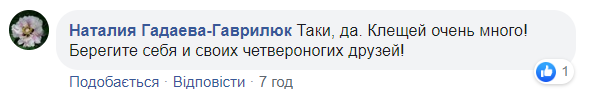 Украинцев предупредили о нашествии клещей из-за аномальной погоды