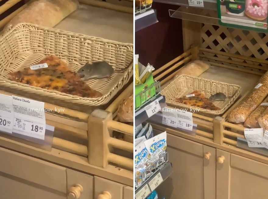 В киевском супермаркете мышь на прилавке нагло уплетала продукты (видео)
