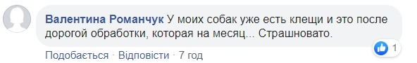 Украинцев предупредили о нашествии клещей из-за аномальной погоды