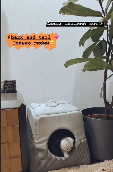 Не знаем, что будет: Холостяк 9 с невестой огорчили новостями о свадьбе