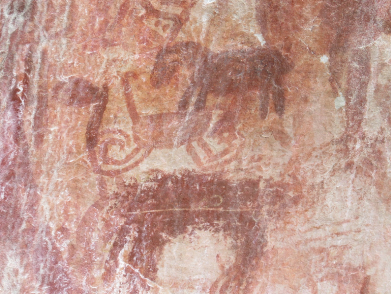 Ученые нашли тысячи уникальных наскальных рисунков времен ледникового периода (фото)