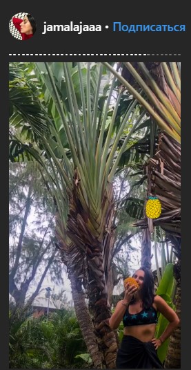 &quot;Вражаюча природа&quot;: Джамала похвалилася захоплюючими видами Маврикія (фото)