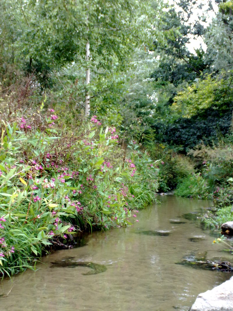 Киевская река покрылась опасной пеной. Теперь это мощным потоком несется в Днепр