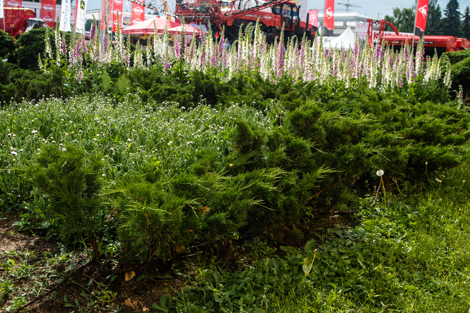 Дайджест новин від ВДНГ