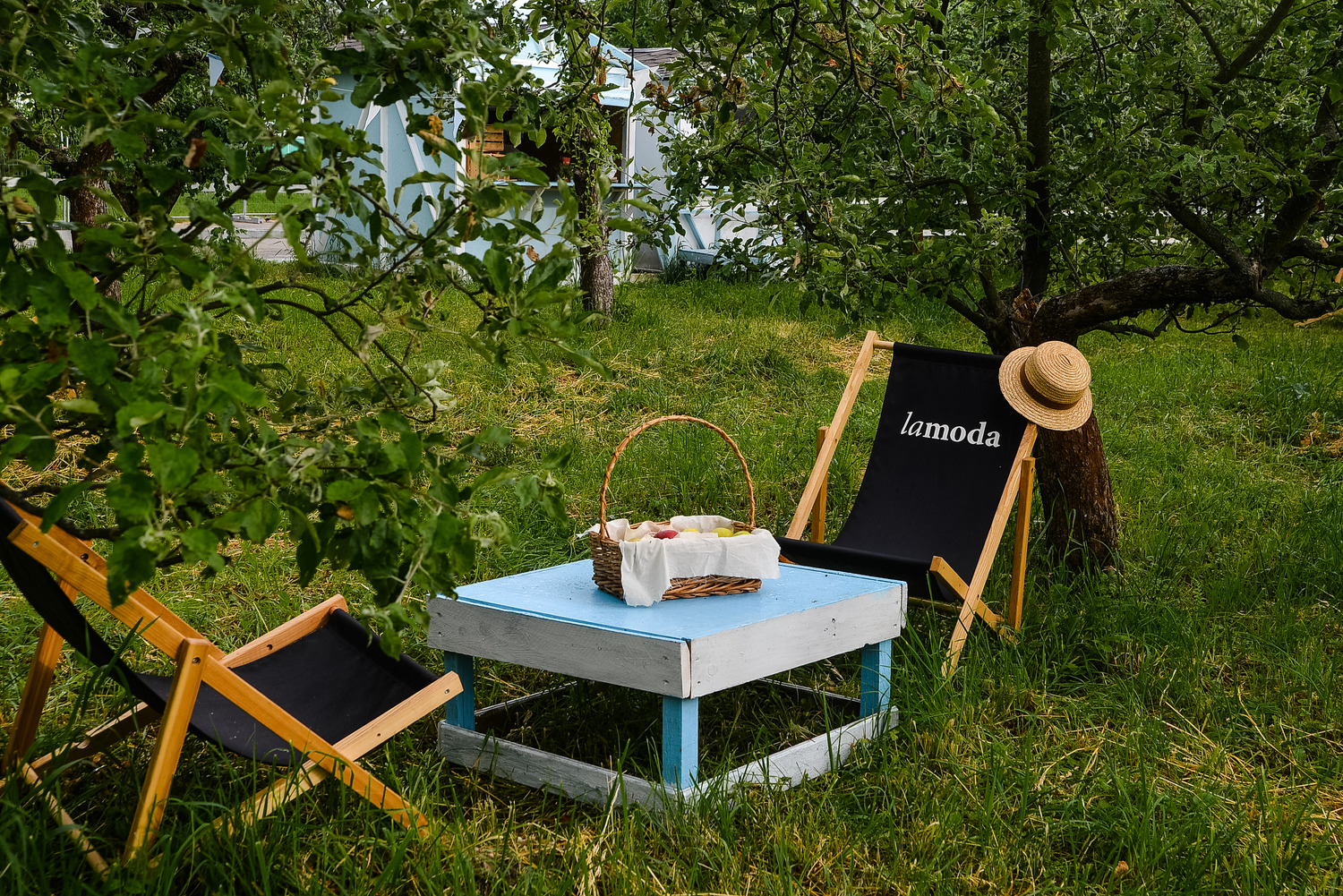 Дайджест новин від ВДНГ