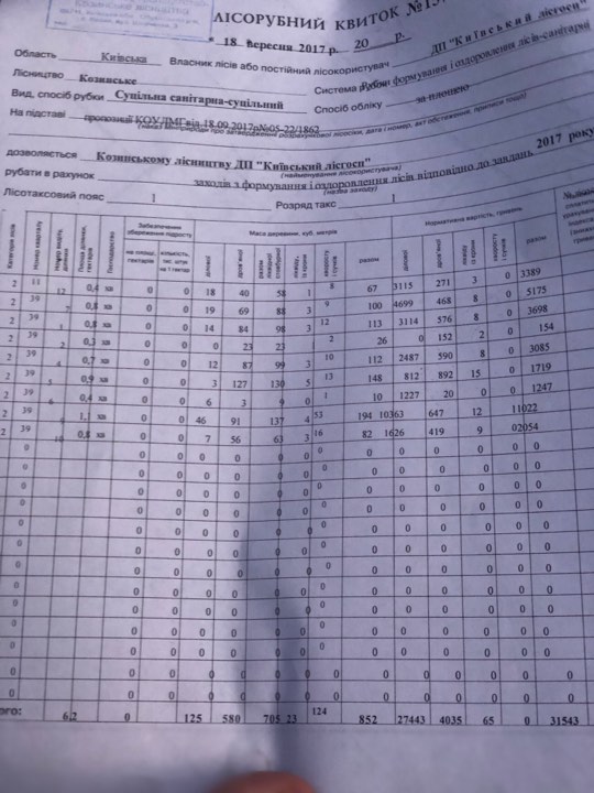 У Київській області рубають і палять ліс на Новообухівській трасі, - розслідування