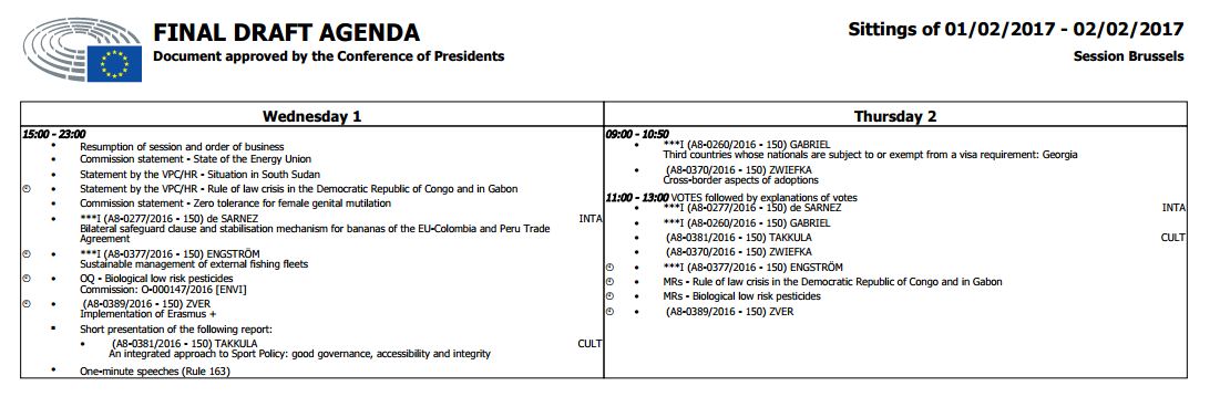 Європарламент розгляне введення безвізового режиму з Грузією 2 лютого