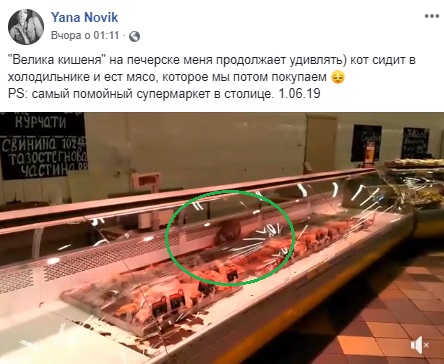 Прямо на витрине: в супермаркете Киева кота застали за "интересным" занятием (видео)