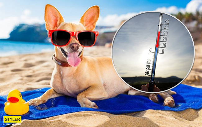 Сухо і спекотно не скрізь: де в Україні буде лютувати погода (фото)