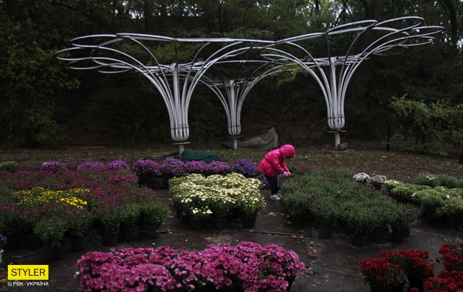 Ливни, грозы и резкое похолодание: каким областям не повезет с погодой