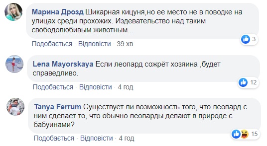 Мужчина гулял с леопардом по улицам Киева: появились фото