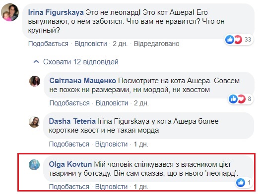 По улицам Киева гулял леопард: инцидент получил продолжение