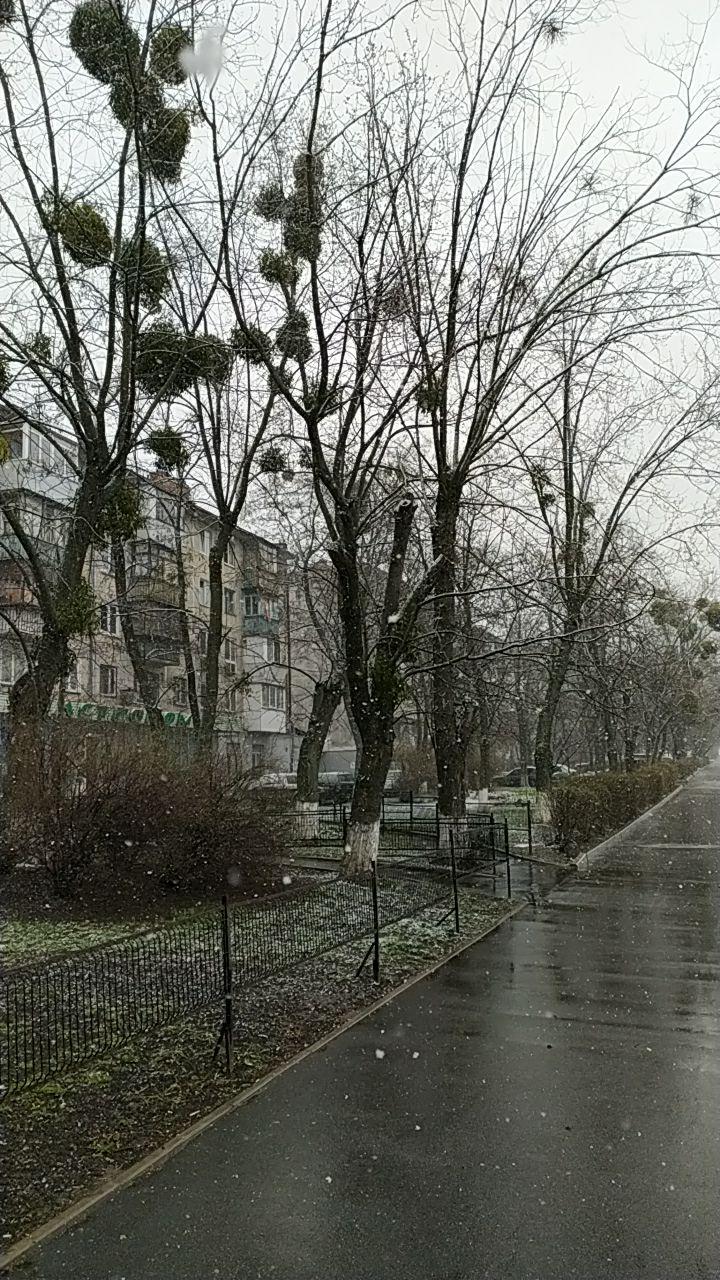 Киев засыпало снегом: видео и фото аномалии