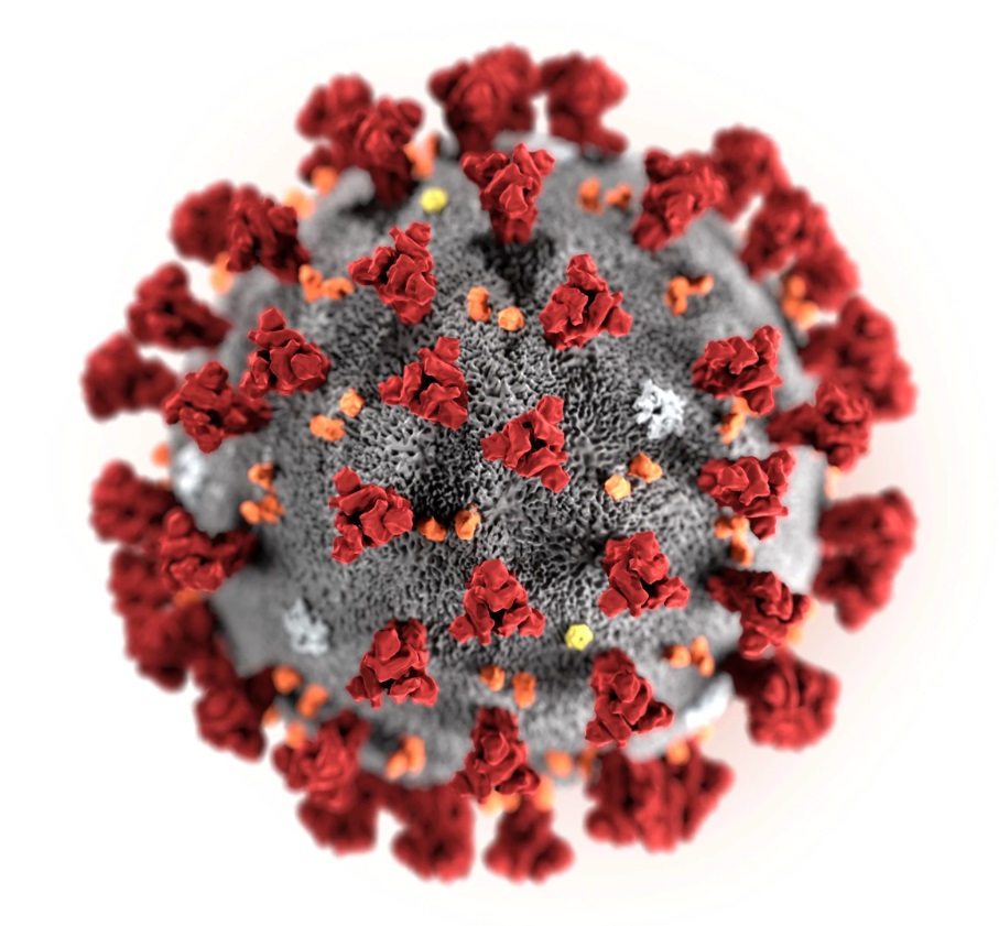 Описание COVID-19 и как с ним бороться нашли в 5000-летней книге по медицине
