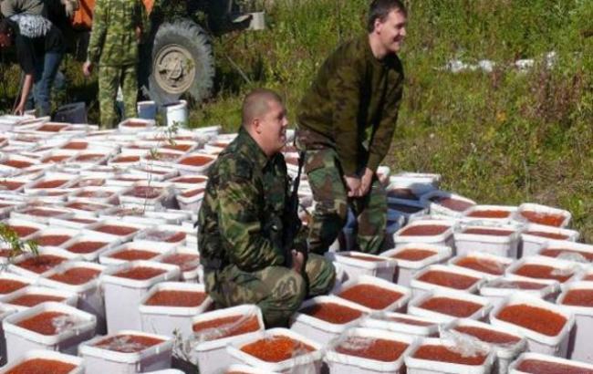 Підсумки дня: 30 березня