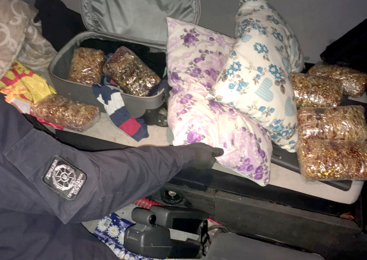 Прикордонники завадили вивозу до Туреччини понад 20 кілограмів бурштину