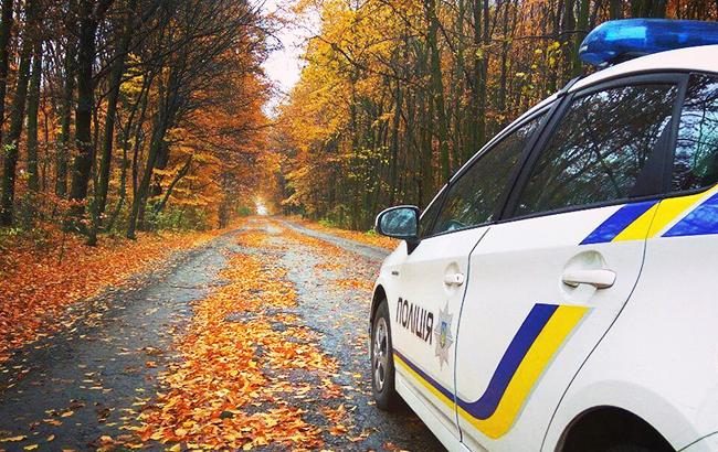 Итоги дня: 30 ноября