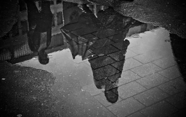 Итоги дня: 29 декабря