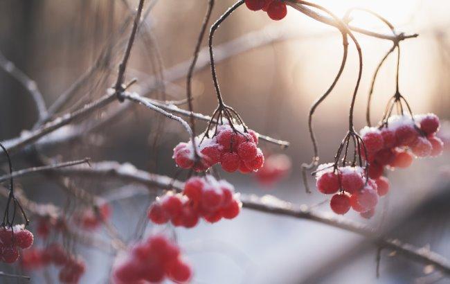 Підсумки дня: 26 січня