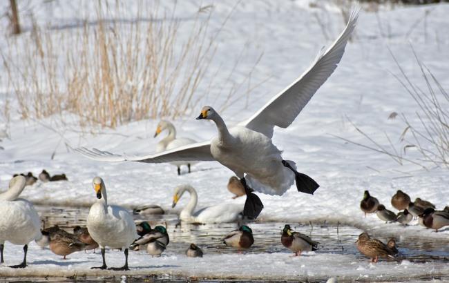 Итоги дня: 5 февраля