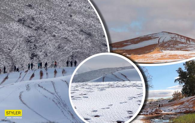 Підсумки дня: 7 лютого