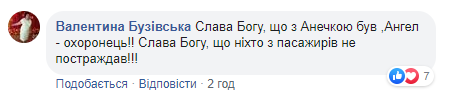 Дочка Гриценка потрапила в аварію: всі подробиці (фото)