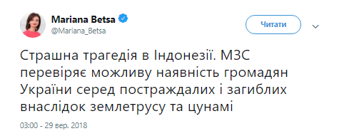МЗС перевіряє, чи є серед жертв стихії в Індонезії українці