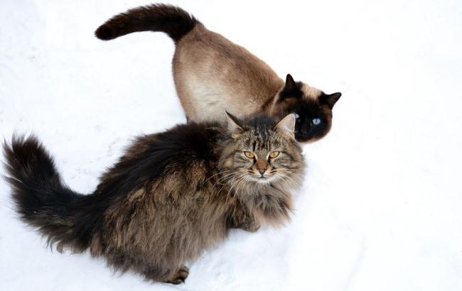 Підсумки дня: 19 березня