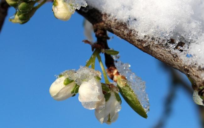 Підсумки дня: 23 березня