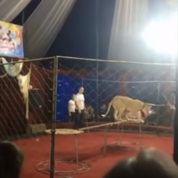 Итоги дня: 31 октября