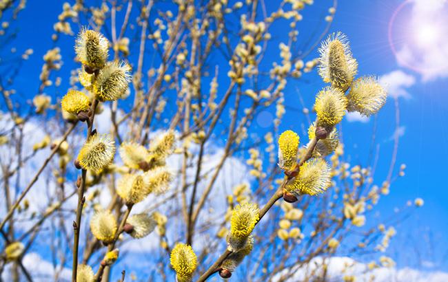 Итоги дня: 26 марта