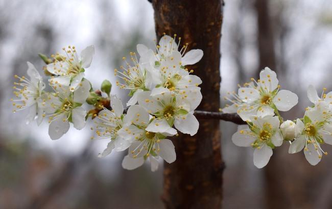 Підсумки дня: 16 квітня